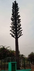 Telecommunication Obstruction Camouflaged Palm Tree Tower Carbon Steel