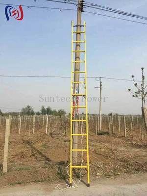 Professional Insulated Straight Ladder 2-8M Model with Light Epoxy Resin and 1 Year Warranty for Live Line Electrical Work