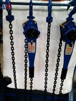 Professional Chain Type Handle Hoist with 5-90KN Rated Load for Energy Independent and Precision Load Positioning in Electrical Equipment