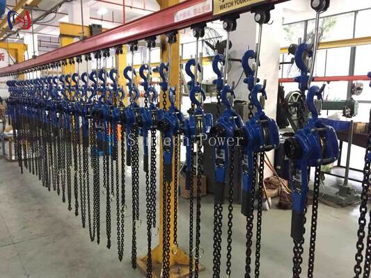 Professional Chain Type Handle Hoist with 5-90KN Rated Load for Energy Independent and Precision Load Positioning in Electrical Equipment