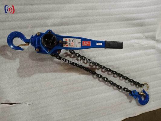 Professional Chain Type Handle Hoist with 5-90KN Rated Load for Energy Independent and Precision Load Positioning in Electrical Equipment