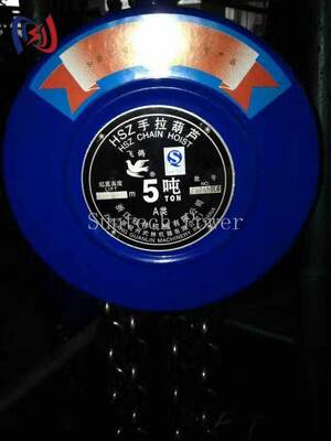 Professional Manual Chain Hoist for Heavy Duty Lifting in Electrical Construction with 5-200KN Rated Load