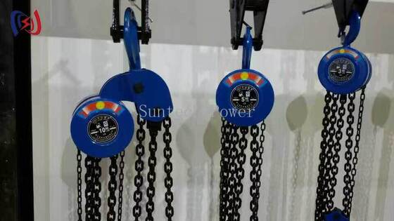 Professional Manual Chain Hoist for Heavy Duty Lifting in Electrical Construction with 5-200KN Rated Load