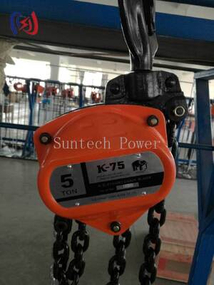 Professional Manual Chain Hoist for Heavy Duty Lifting in Electrical Construction with 5-200KN Rated Load