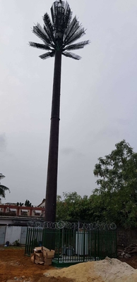 Camouflaged Communication Pine Palm Tree Tower 0m - 80m Height