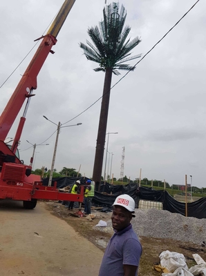 Pine Tree Camouflaged Steel Monopole Tower For Telecommunication