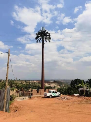 Camouflaged Palm Tree Steel Monopole Tower For Telecommunciation